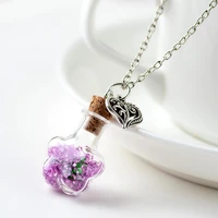original drifting bottle lively pendent star glass necklace creative natural drift sand women dry flower necklace girls gift