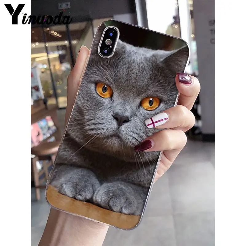 A15 Yinuoda Британский короткошерстный Кот поделка-чехол для телефона для iPhone 5 5Sx 6 7plus 8 8Plus X XS MAX XR Fundas Capa - Цвет: A15