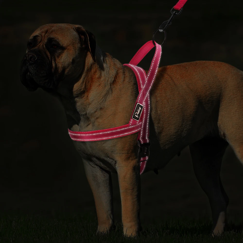 No Pull Reflective Dog Harness Leash Set Pet Vest Lead For Small Meduim Large Dogs Perfect for Daily Training Walking XXS-L | Дом и сад