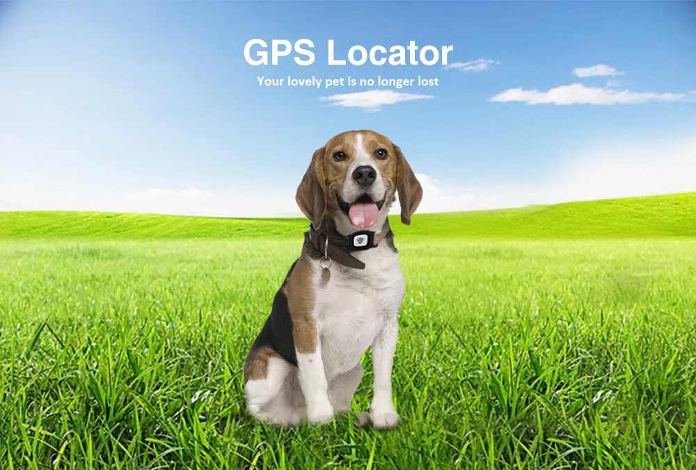 Беспроводной водонепроницаемый gps-трекер для питомцев ошейник с регулировкой