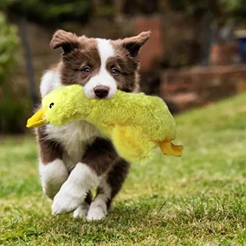 Pet Прекрасный интерактивная игрушка Игрушки для собак плюшевые скрипучий утка