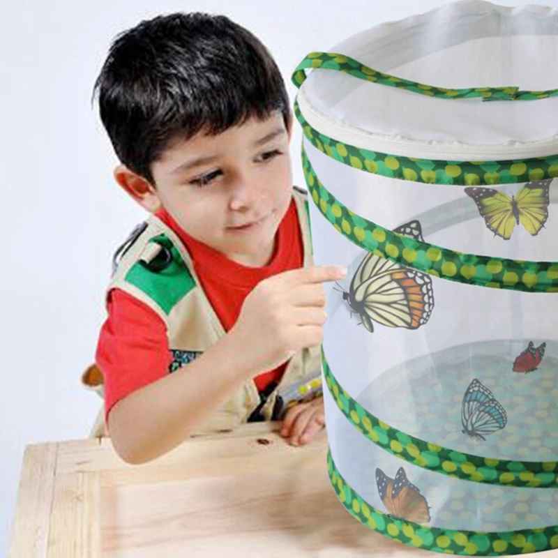 США против насекомых чистая Коробка бабочка наблюдение клетка горшок на молнии