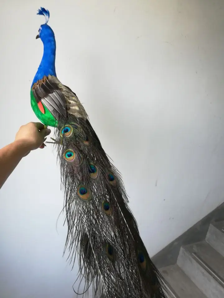 Очень длинный 100 см имитация павлина птицы пены и перья красивая модель дисплей