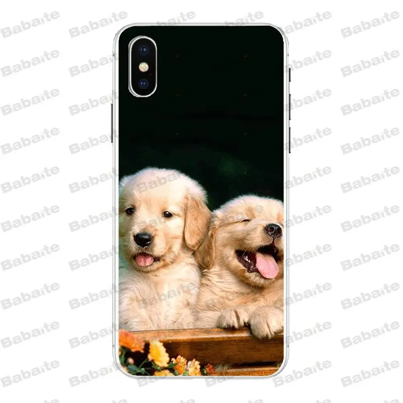 A11 Babaite супер милый золотой ретривер чехол для телефона для iPhone X Xs Xr XsMax 6 6s Plus 7 7plus 8plus 5S 5c SE11 11pro 11promax - Цвет: A11