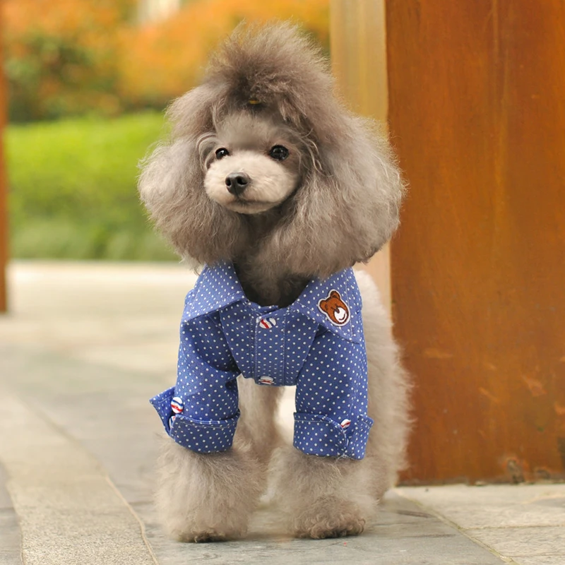 Лидер продаж 2018 Модная Джинсовая рубашка в горошек для собак на весну и лето