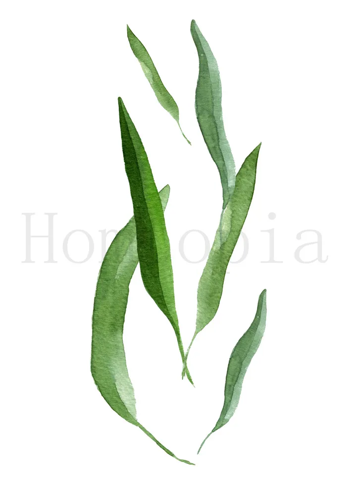 Постеры настенная наклейка акварельные листья скандинавский стиль высокое