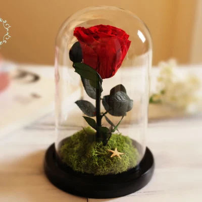Бессмертный свежая роза цветы стеклянная крышка Творческий консервированная с