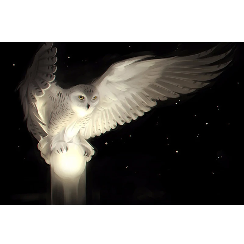 5D алмазная вышивка Рукоделие сделай сам Белоснежка Сова животная мозаика