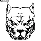 Три мишки 19x15 см собака шаблон питбуль Смешные автомобильные наклейки на ветровое стекло виниловые наклейки аксессуары для мотоциклов стикер HZX526