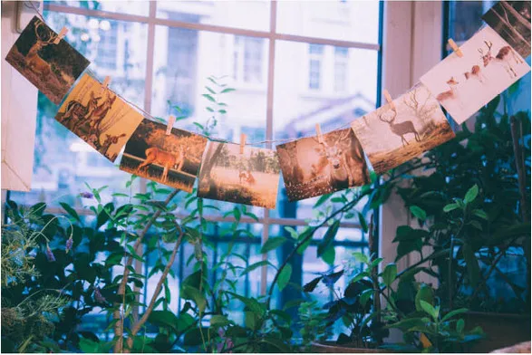 Новая Винтажная красивая открытка с оленем 32 шт./лот | Дом и сад