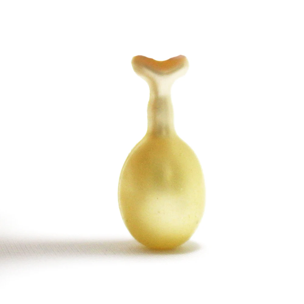 

EGF Pearl Cleansing Capsule 10pcs-Remove dirt in the pores, replenishment, clean while keeping moist.