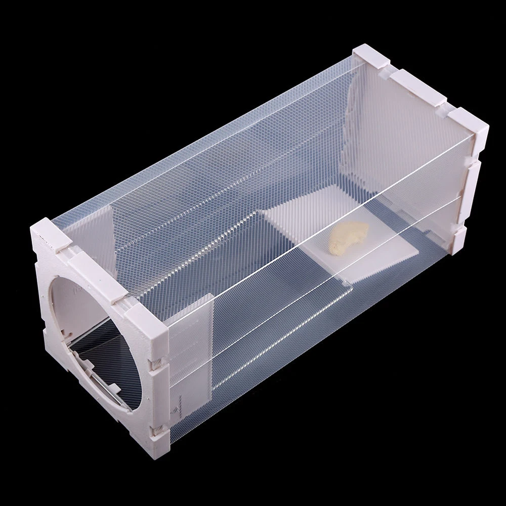 Garden Humane Rat Trap Cage Animal Pest Rodent Mice Mouse Bait Catch Capture Home | Traps