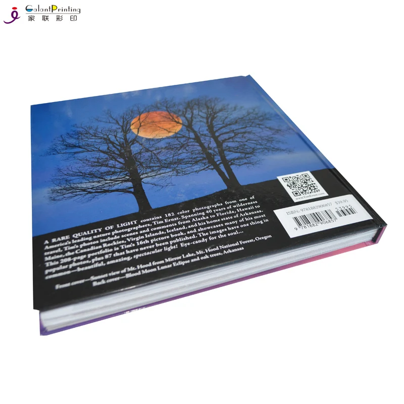 

Индивидуальная A4 мягкая обложка книга/буклет/Журнал/брошюры печатная служба