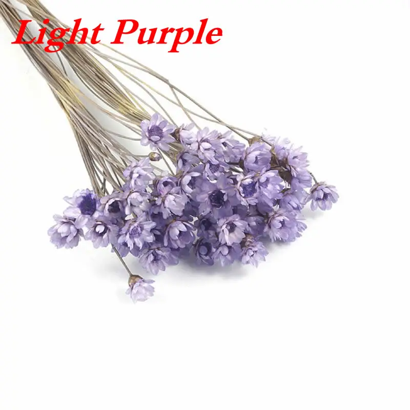 Light Purple 12 шт. наполнитель цветок сухие цветы ручной работы кристалл эпоксидная форма УФ клей мини Маргаритка сушеный цветок браслет кольцо Руководство DIY Изготовление - Цвет: Light Purple