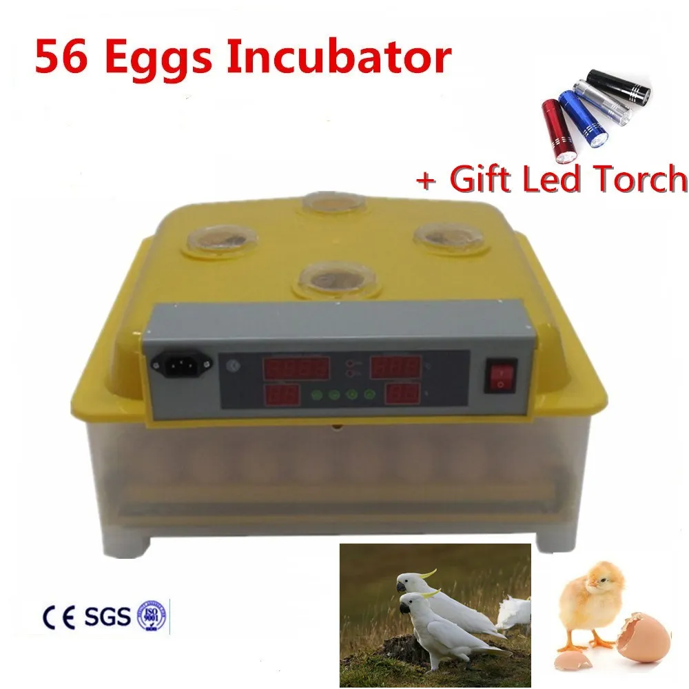 AU Atock ZZ-56 Яйцо Инкубатор Машина С Новым Egg Tray | Дом и сад