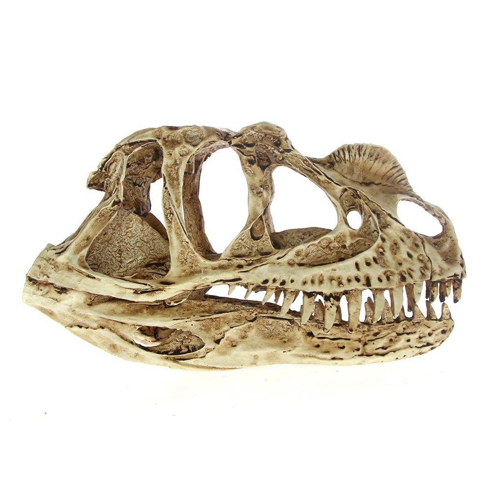 Высокая точность Ceratosaurus модель черепа Рекс Динозавр Смола окаменелый череп
