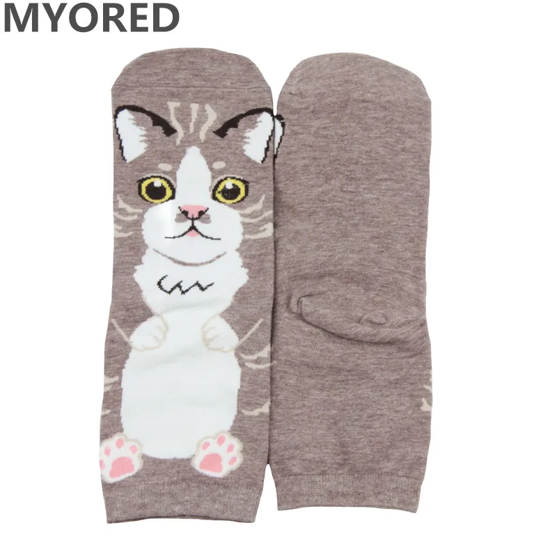 MYORED, 5 пар, женские носки, милый забавный кот, стиль, мода осень-зима, забавные короткие носки до лодыжки, носки для девочек, женская повседневная одежда