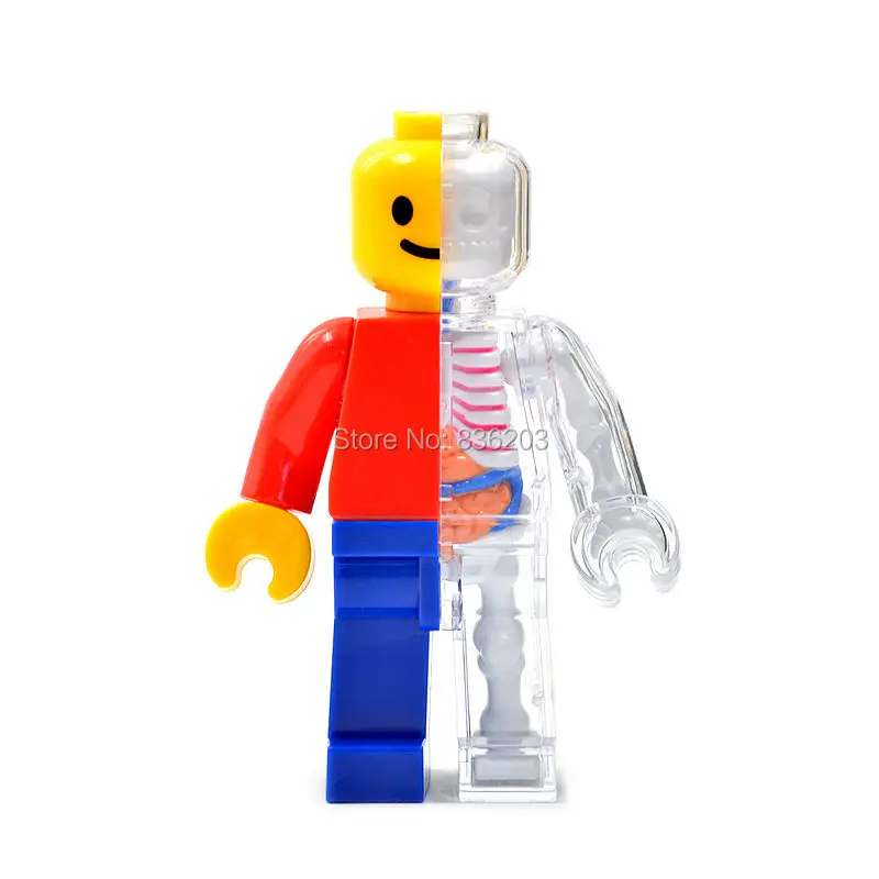 4D master vision Brick Man смешная анатомическая модель медицинская Джейсон Фрей анатомическая модель скелета научные развивающие игрушки