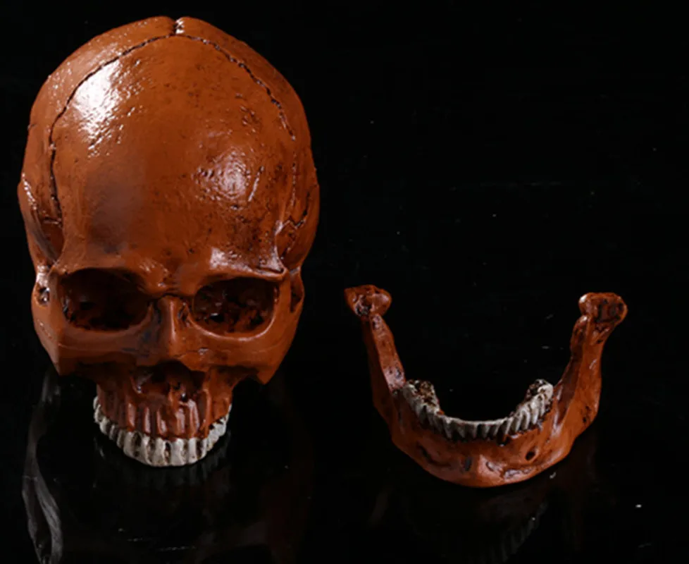 Бесплатная доставка Хэллоуин игрушки Моделирование человеческий череп