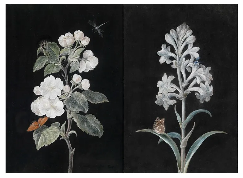 Красивые цветы на черном фоне без рамки Классический Холст из хлопка 2 панели