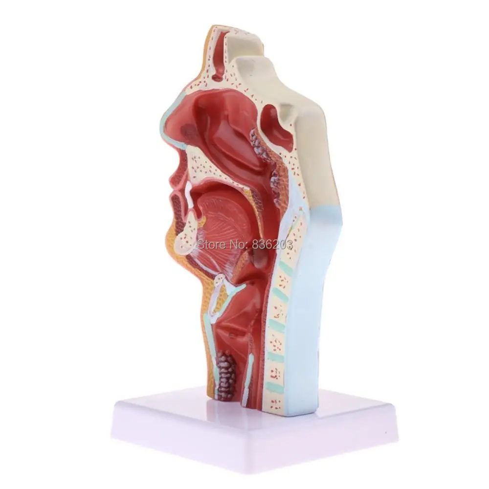 Полноразмерный травматический пистолет купить презервативы медицинские