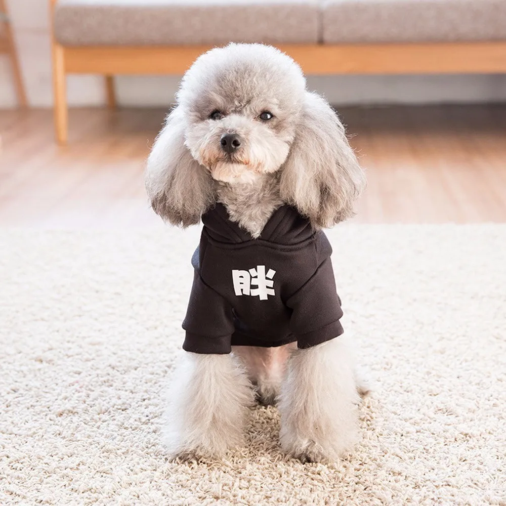dog hoodies Winter New Pattern Pompon Hats Personality The Pets Black Bring Spring Clothes Poodle Bear Real Bipod CW-YF22 | Дом и сад