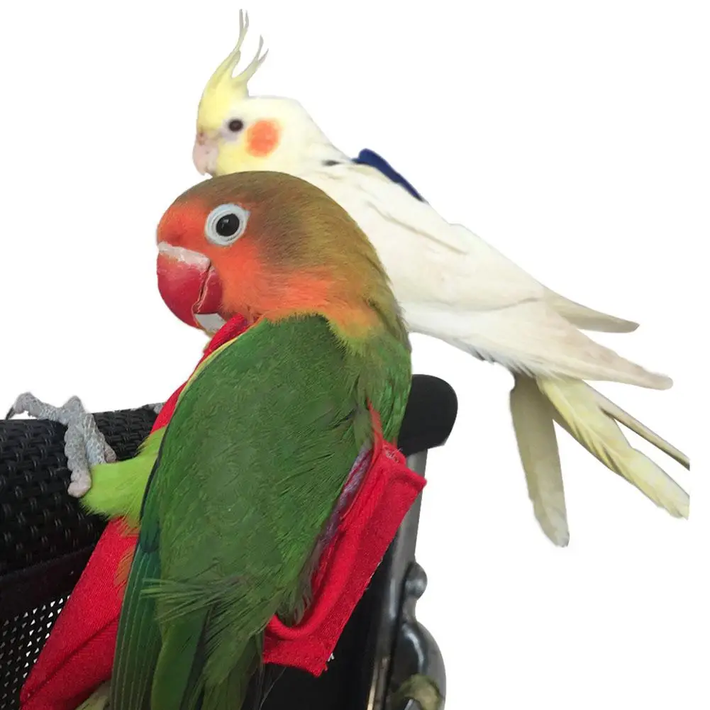 Одежда для подгузников домашних животных Flying птиц попугаев|Постель и подстил