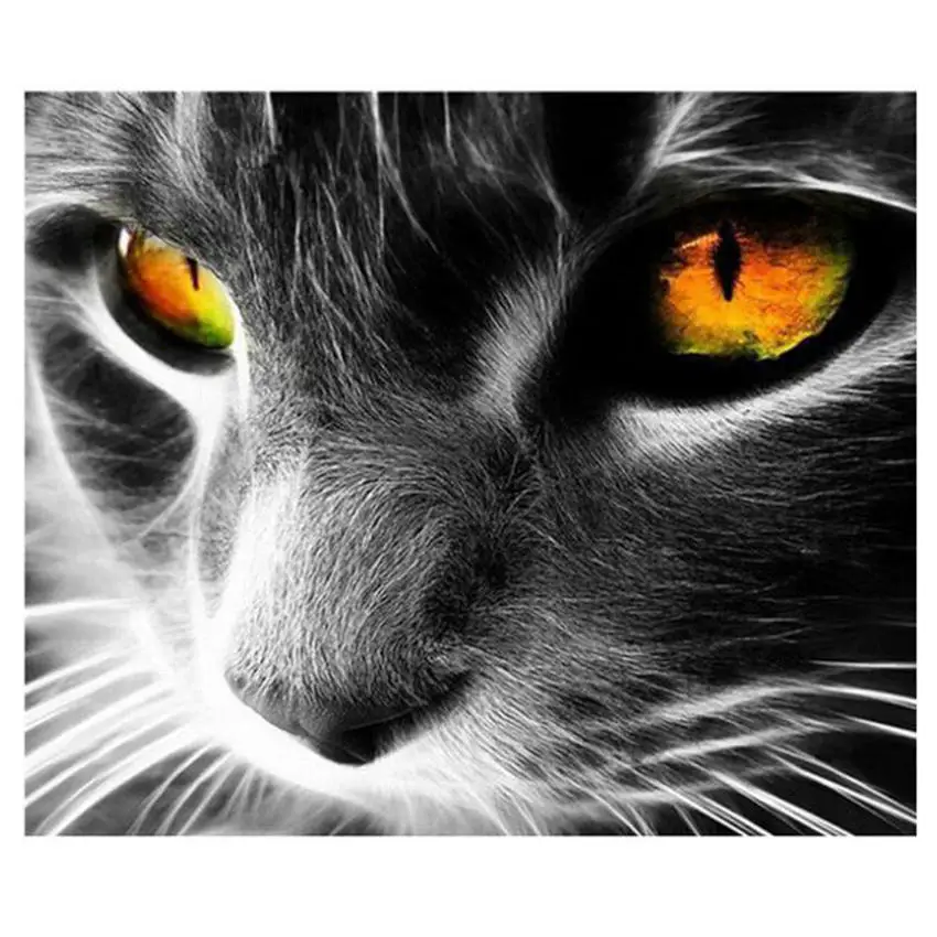 cat painting 21 УИН Карп Сделай Сам картина по номерам Картина на холсте с изображением рыб Волк картина маслом Настенная картина кошка Раскраска по номерам для домашнего декора 40x50 см - Цвет: cat painting 21