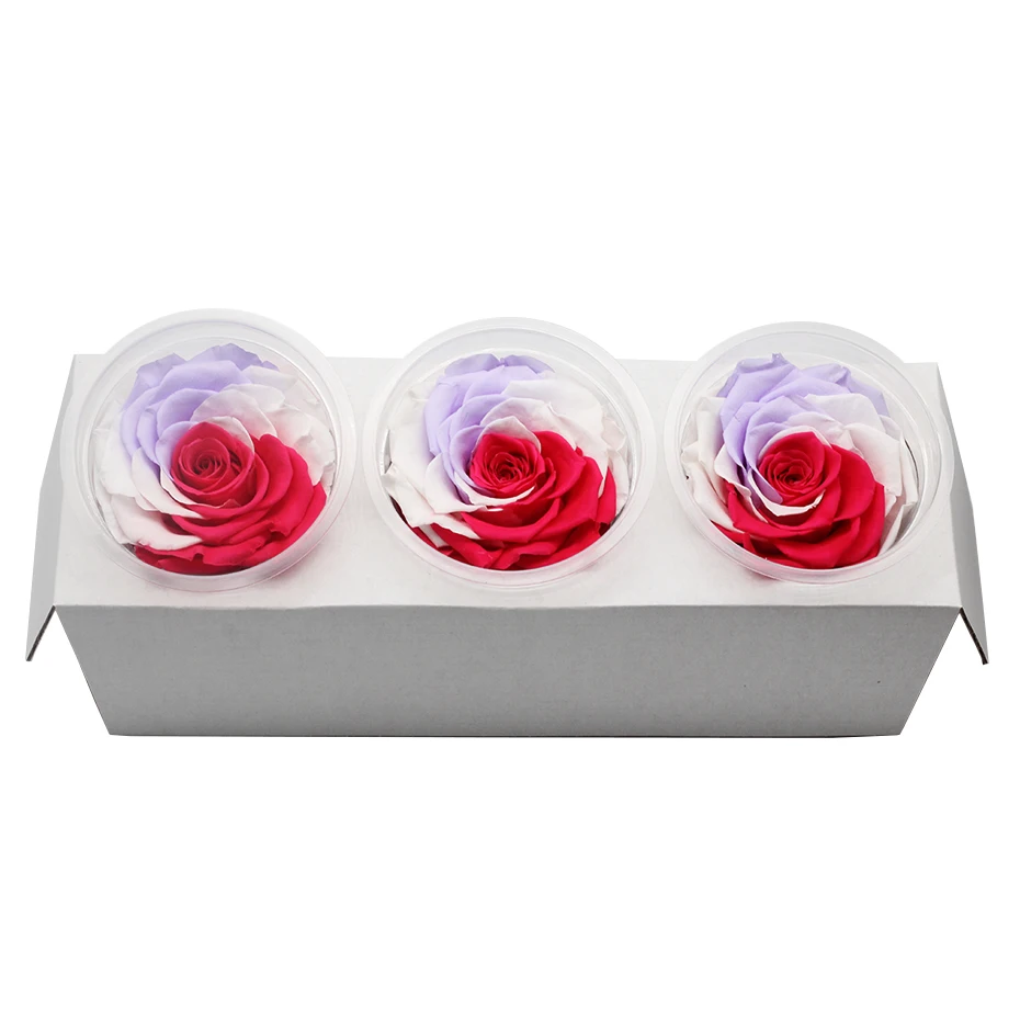 1 коробка Eternal Flores консерванты натуральные сухоцветы консервированные цветы бесморская Роза 8 см подарок на день Святого Валентина день рождения