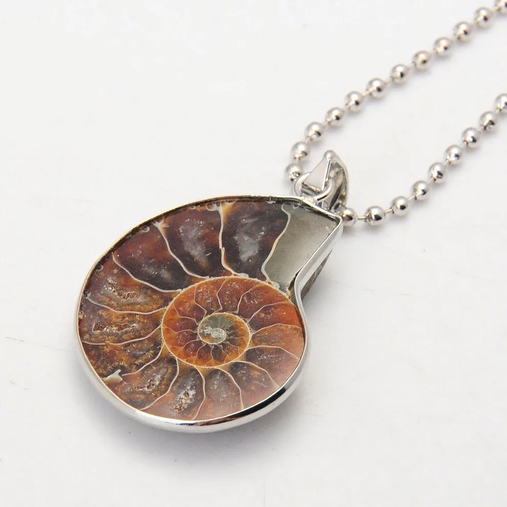 

SEVENSTONE Natural Ammonite Conch Shell Pendant Bead Natural Healing Madagascar Gem Stone Choker Pendants Necklace for Women Lol