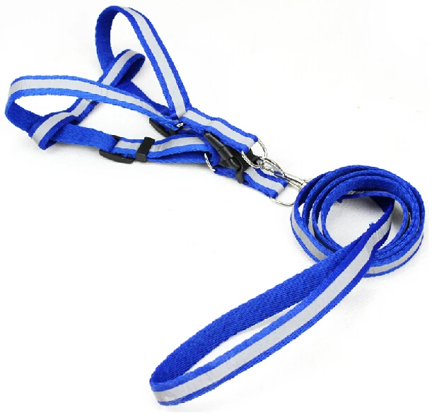 Отражать Свет Функция Классический Домашних Собак грудь жгут Поводок набор Pet