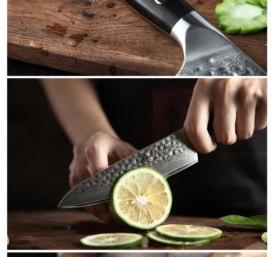 XINZUO 4 шт набор кухонных ножей 67 слоев дамасской стали нож шеф-повара Santoku кухонные ножи из нержавеющей стали столовые приборы