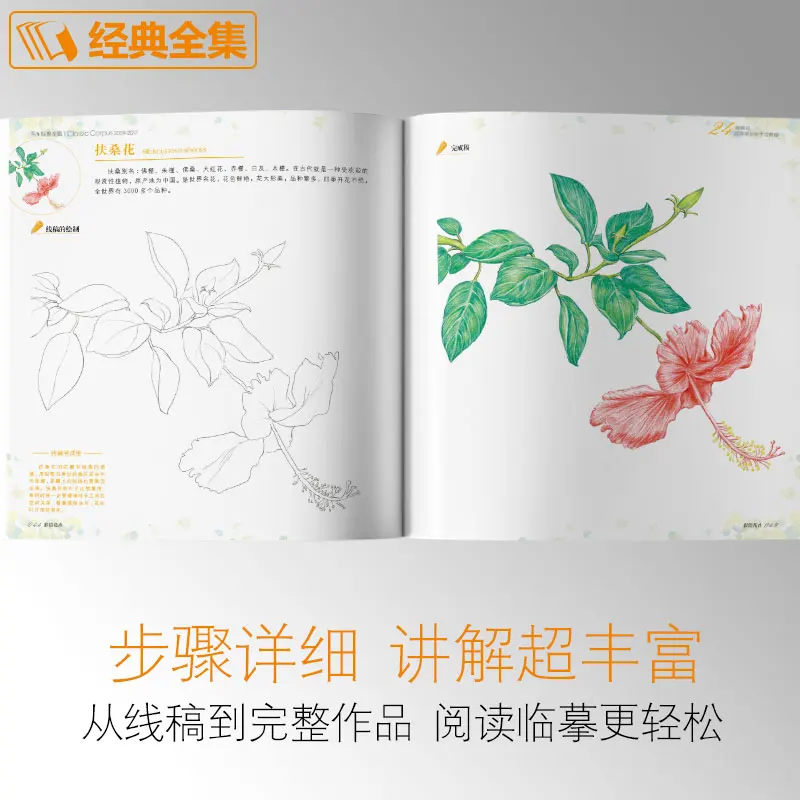 Цвет свинцовой краски вводный учебник книга нулевой основы для взрослых ручной ed