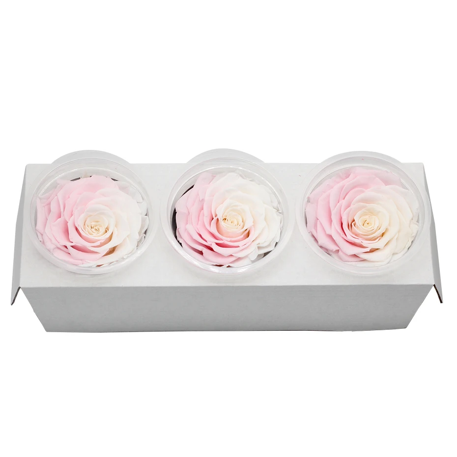 1 коробка Eternal Flores консерванты натуральные сухоцветы консервированные цветы бесморская Роза 8 см подарок на день Святого Валентина день рождения