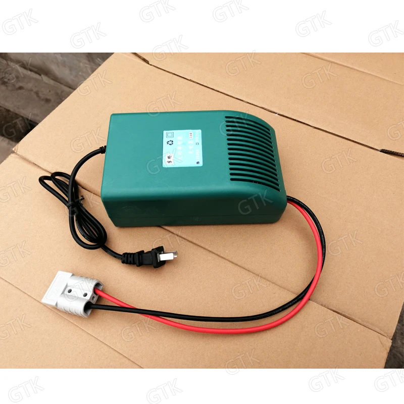 12 V 20A зарядное устройство v литий 6 3 S ионный 4S 14 lifepo4 для смартфонов