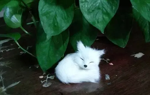 Искусственные животные 10x7 см белая лисица жесткая модель полиэтилен и меха