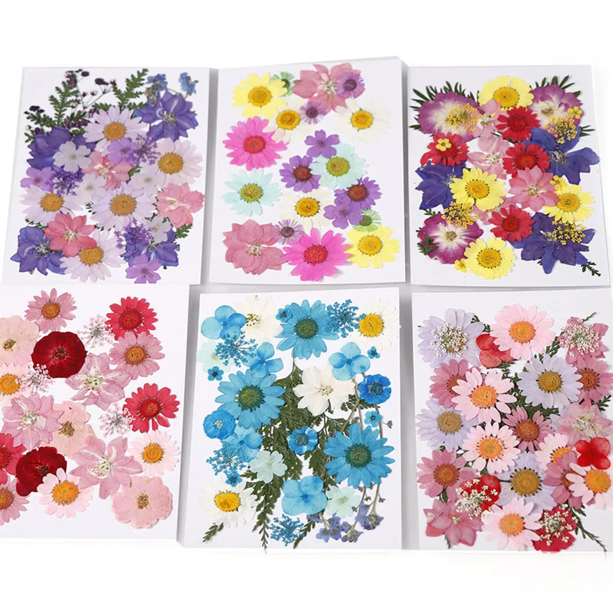 

Смешанные цвета настоящие сушеные коралловые цветы окрашивание растений для эпоксидной смолы кулон ожерелье Изготовление ювелирных издел...