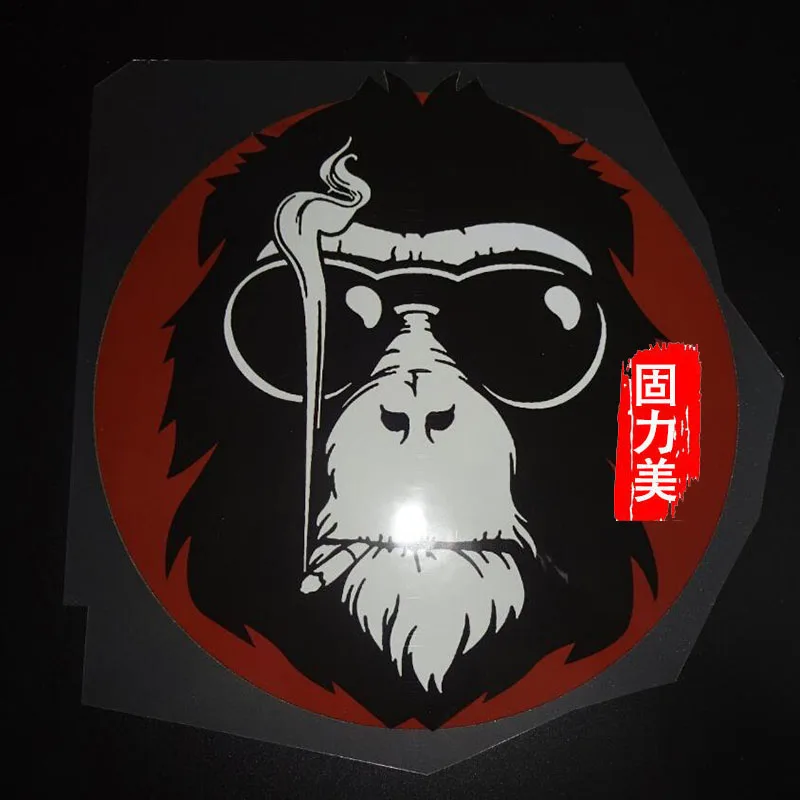 Комплект из 2 предметов модные голова гориллы футболка теплообменная одежда