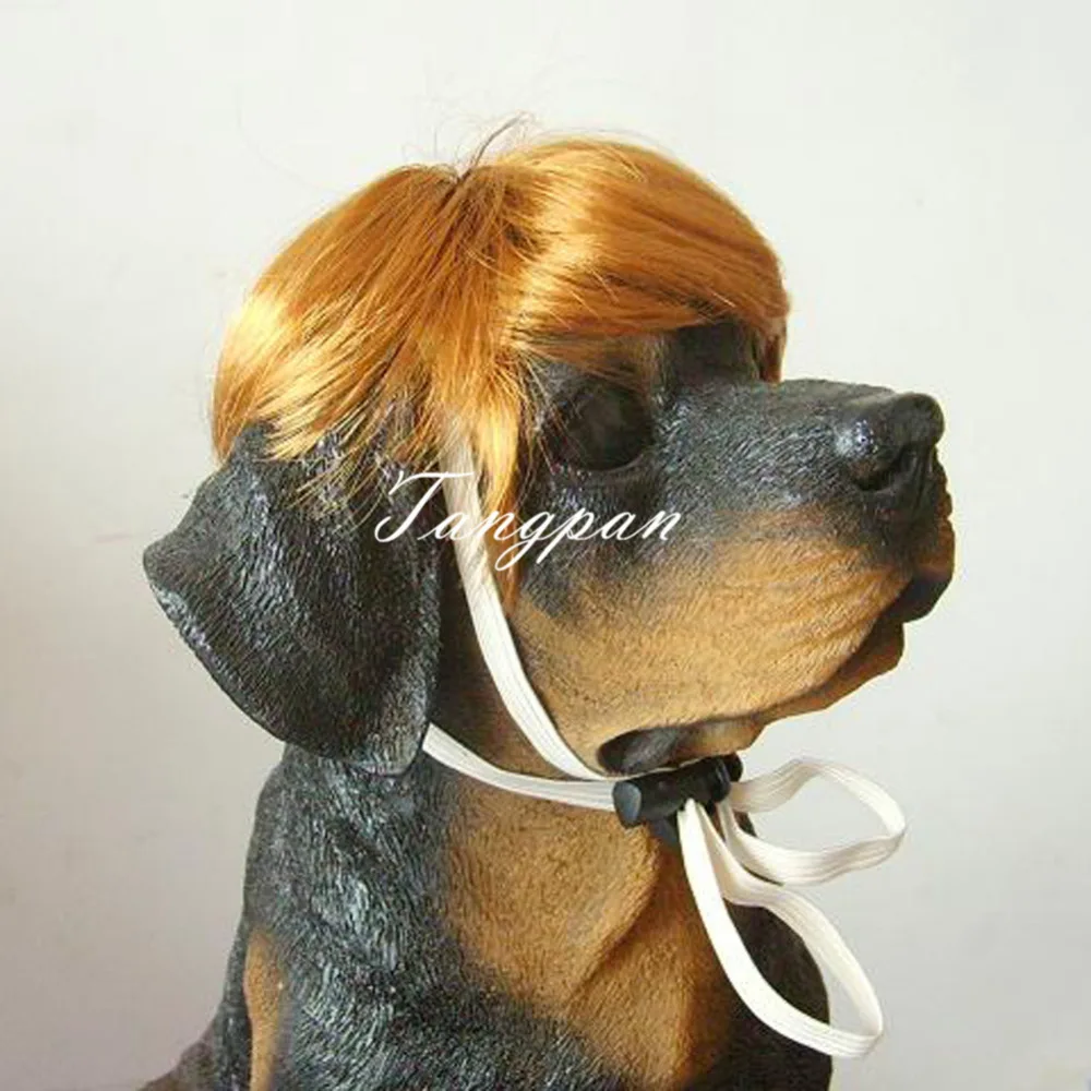 Короткие золотые волосы Tangpan для домашних животных кошек собак Bobo аксессуары |