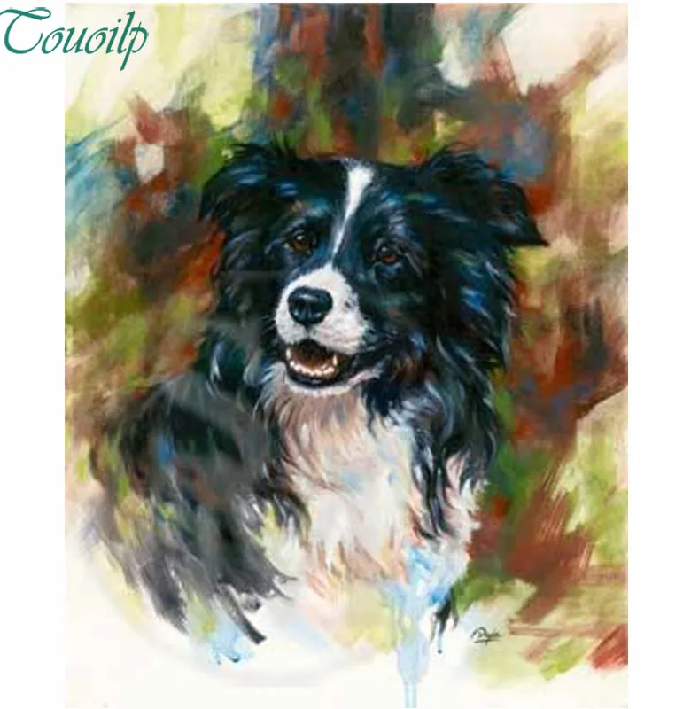 Алмазная вышивка бордюра колли 5d алмазная живопись полная квадратная и круглая