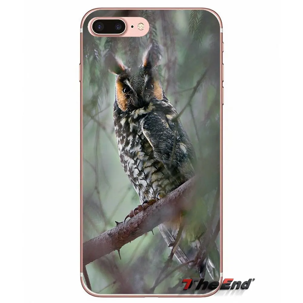 Длинный Ушастый Сова Asio otus Силиконовый ТПУ чехол для iPhone X 4 4S 5 5S 5C SE 6 6S 7 8 Plus Samsung