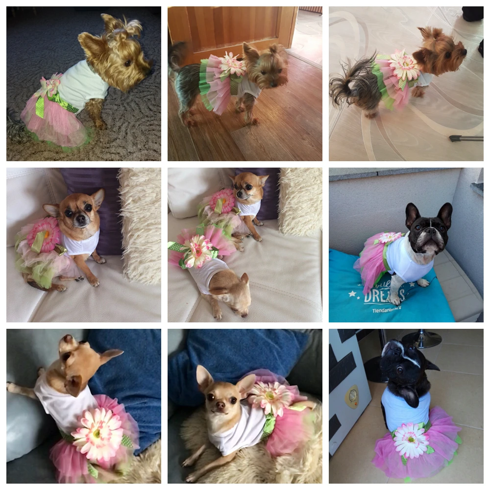 Cotton Lace Dog Dress Crystals Guipure Dogs Dresses Skirt Puppy Outfit Princess Girl Clothes Fancy Pet Products GGA004 | Дом и сад
