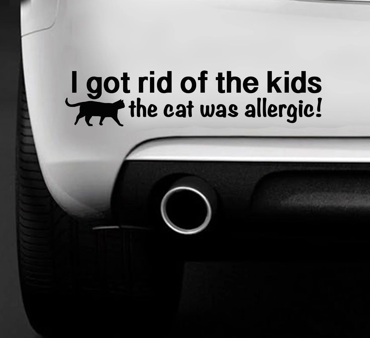 Для I GotRid Of The Kids Cat была аллергическая машина для хобби виниловая наклейка на окна