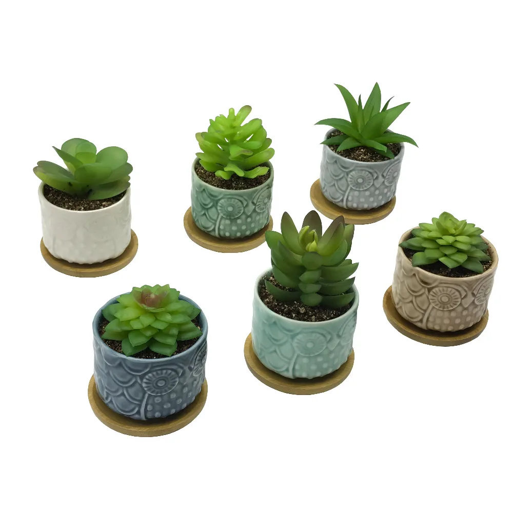 6 PCS Set Cute Cartoon Animal Owl Shaped Ceramic Succulent Cactus Flower Plant Pots with Bamboo Tray for Home Garden Decoration | Дом и сад