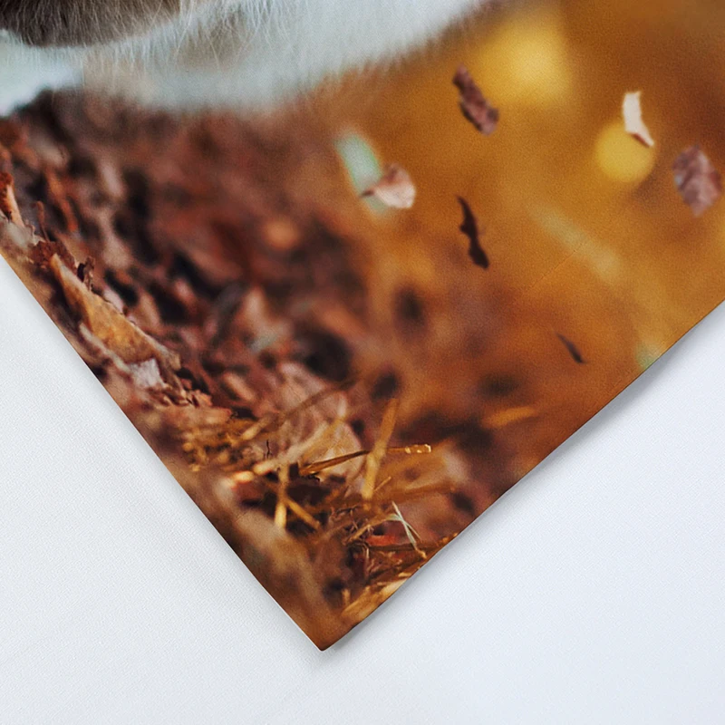 Милый комплект мягкого постельного белья с 3D принтом кота и животных