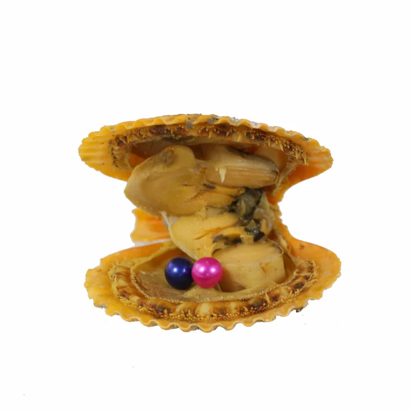 New Hot Sale Birthday Gifts Vacuum-packed Natural Red Orange Oyster Ten Round Pearl Mussel Shell Jewelry RR040 | Украшения и