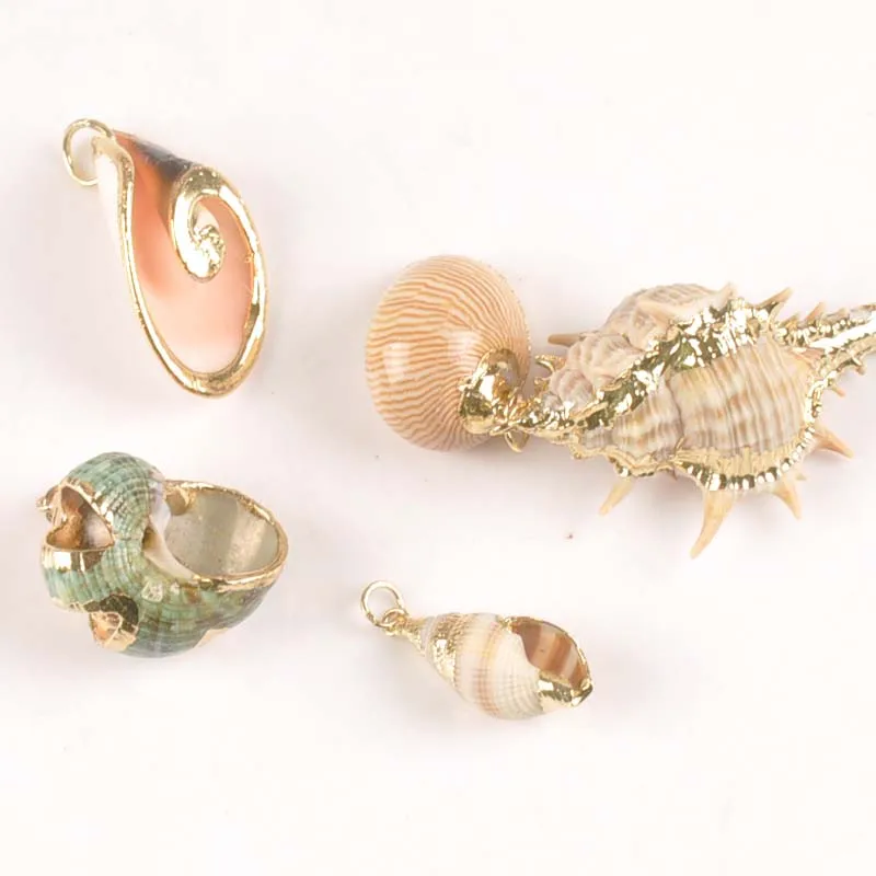 5 шт. разноцветные ракушки для украшения дома|Ракушки и морские звезды| |