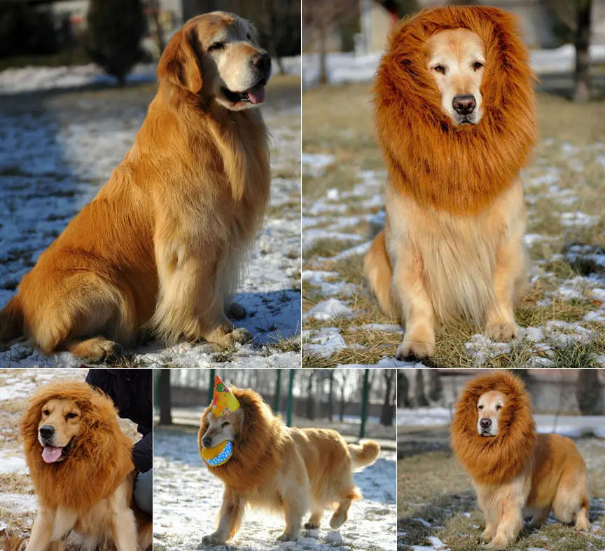 

Pet Costume Lion Mane Wig for Dog Halloween Clothes Festival Fancy Dress up