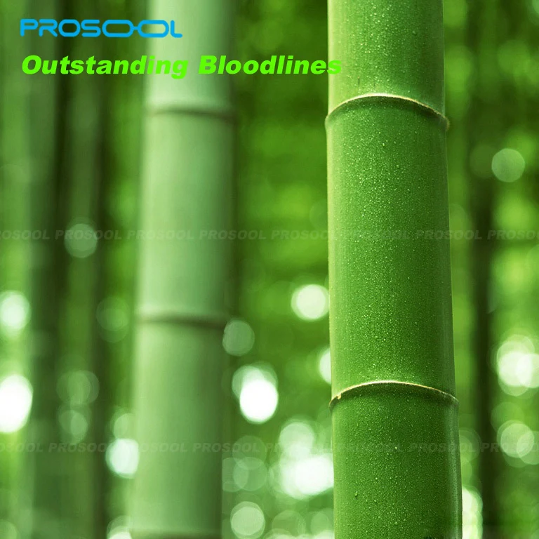 очки солнцезащитные водителя мужские поляризованные дерево Оригинальный