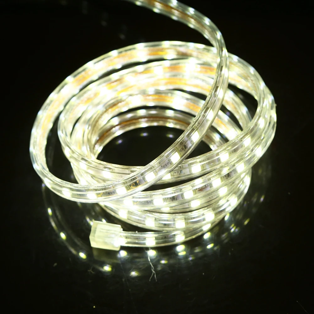 Лента светодиодная RGB SMD 220 60 светодисветодиодный Дов 10 мм ширина 1 м 5 20 50 240 м|led strip